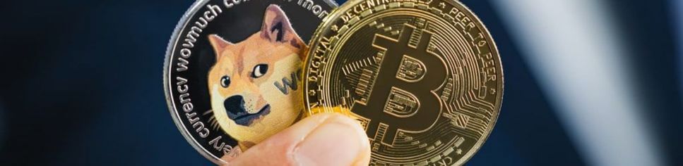 Tesla começa a aceitar pagamentos com Dogecoin, a criptomoeda-meme